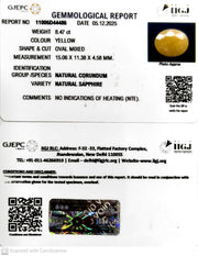 8.47/CT Natural Yellow Sapphire With Govt Lab Certificate-11006D44486